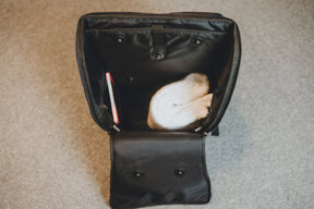 Basic-Everywhere 38L + 4 Module (Reisen bis 7 Tage)